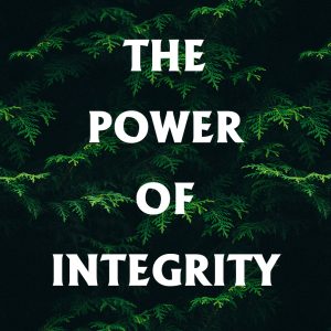 THE POWER OF INTEGRITY